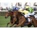  Carrera: P.Turandot II Monta: R.N.Valle Caballo: Bare Elegance